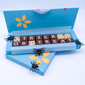 Trick or Treat Cocoapod Chocolates