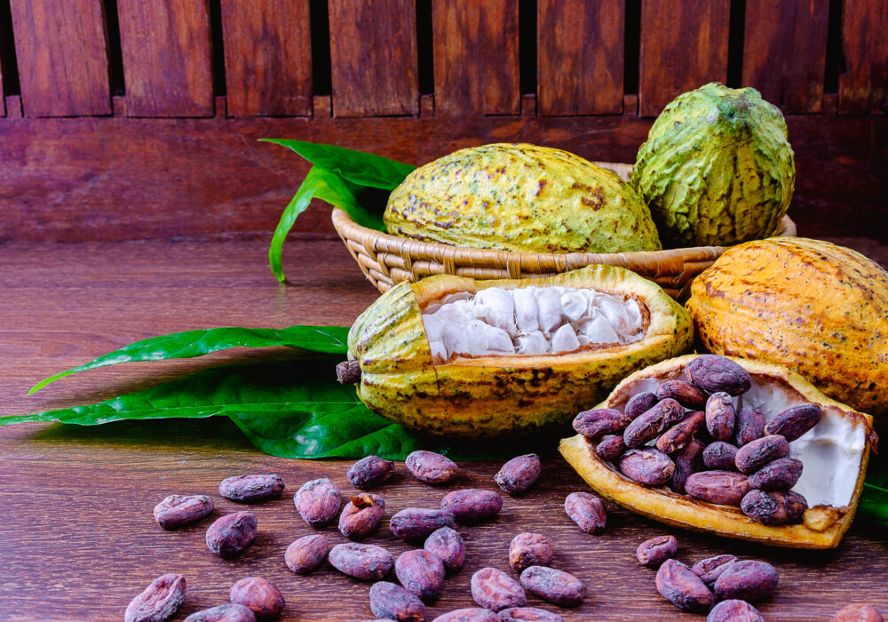 Cocoa fruit background with cocoa pods and cocoa beans on wood table