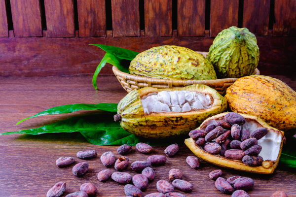 Cocoa fruit background with cocoa pods and cocoa beans on wood table